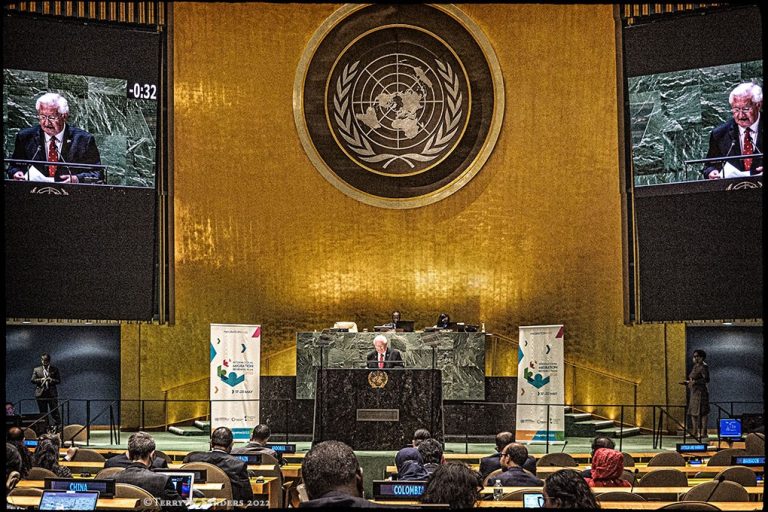 International Migration Review Forum, General Debate Order of Malta's