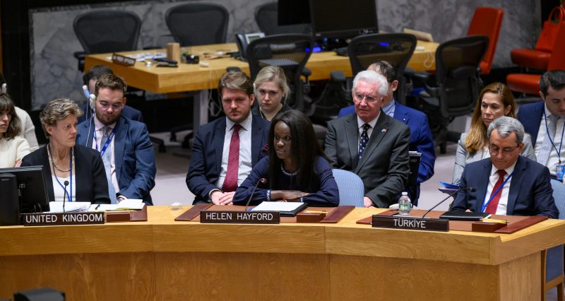 Helen Hayford, Global Protection Advisor at Malteser International, Briefed the UN Security Council on the Sovereign Order of Malta’s Humanitarian Operations in Syria