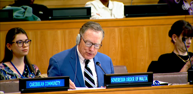 The Hon. Brien Horan, Senior Counsellor, addressed the Third Committee on the Elimination of Discrimination against Persons Affected by leprosy, led by Ms. Beatriz Miranda Galarza