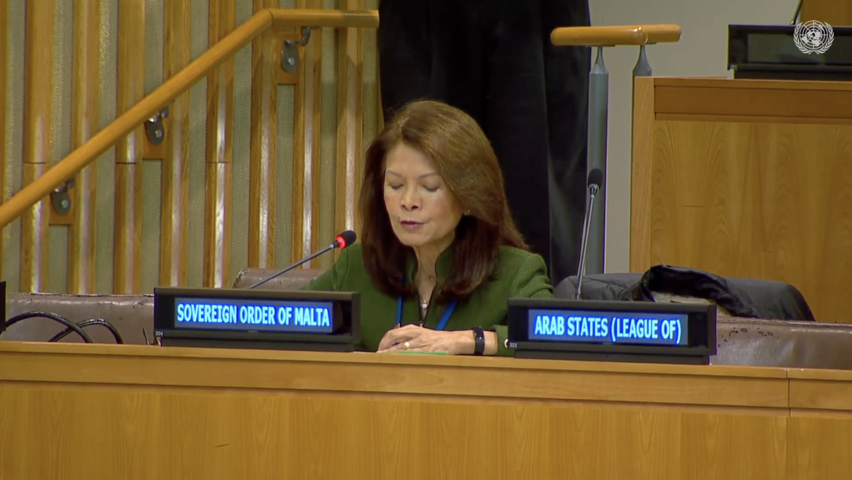 Counsellor Mrs. Marissa Blackett Addresses the Third Committee on the Right to a Safe, Clean, Healthy, and Sustainable Environment, led by Ms. Astrid Puentes Riaño