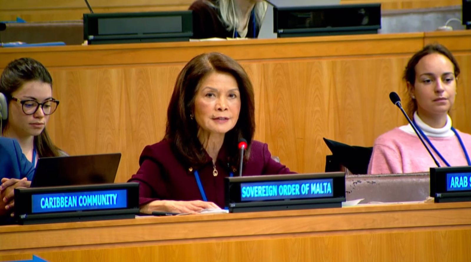 Counsellor Mrs. Marissa del Rosario-Blackett addressed the Third Committee on the Promotion and Protection of Human Rights, led by High Commissioner Mr. Volker Türk