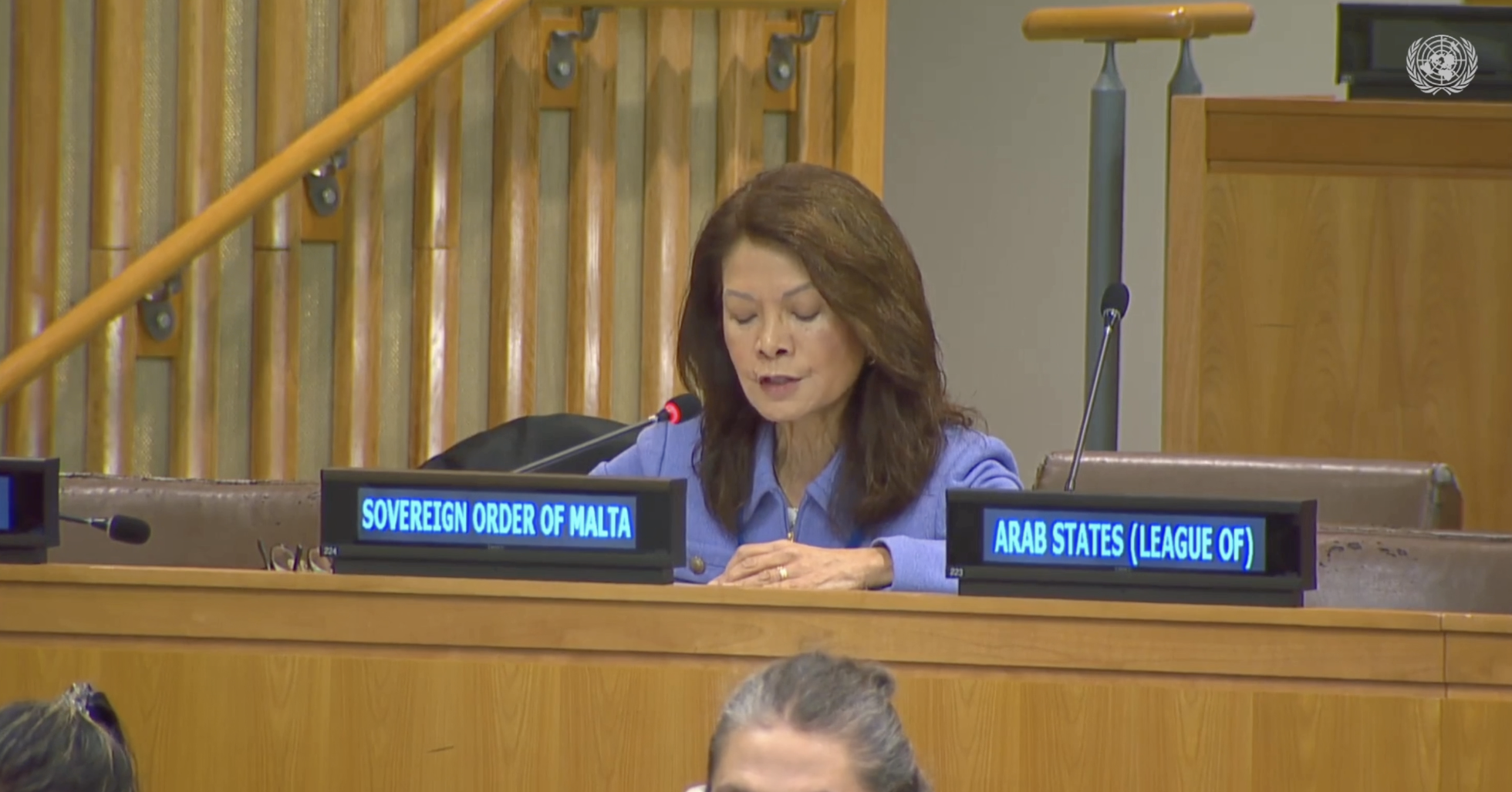 Counsellor Mrs. Marissa Blackett Addresses the Third Committee on the Situation of Human Rights in the Syrian Arab Republic, led by Mr. Paulo Sérgio Pinheiro