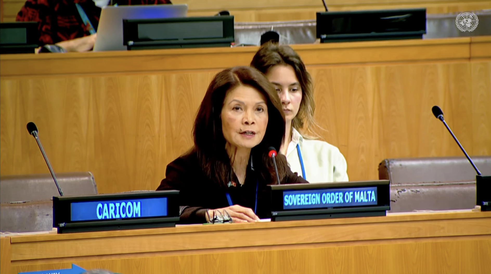 Counsellor Mrs. Marissa Blackett Addresses the Third Committee on the Situation of Human Rights in Myanmar, led by Ms. Julie Bishop, Mr. Nicholas Koumjian, and Mr. Thomas Andrews