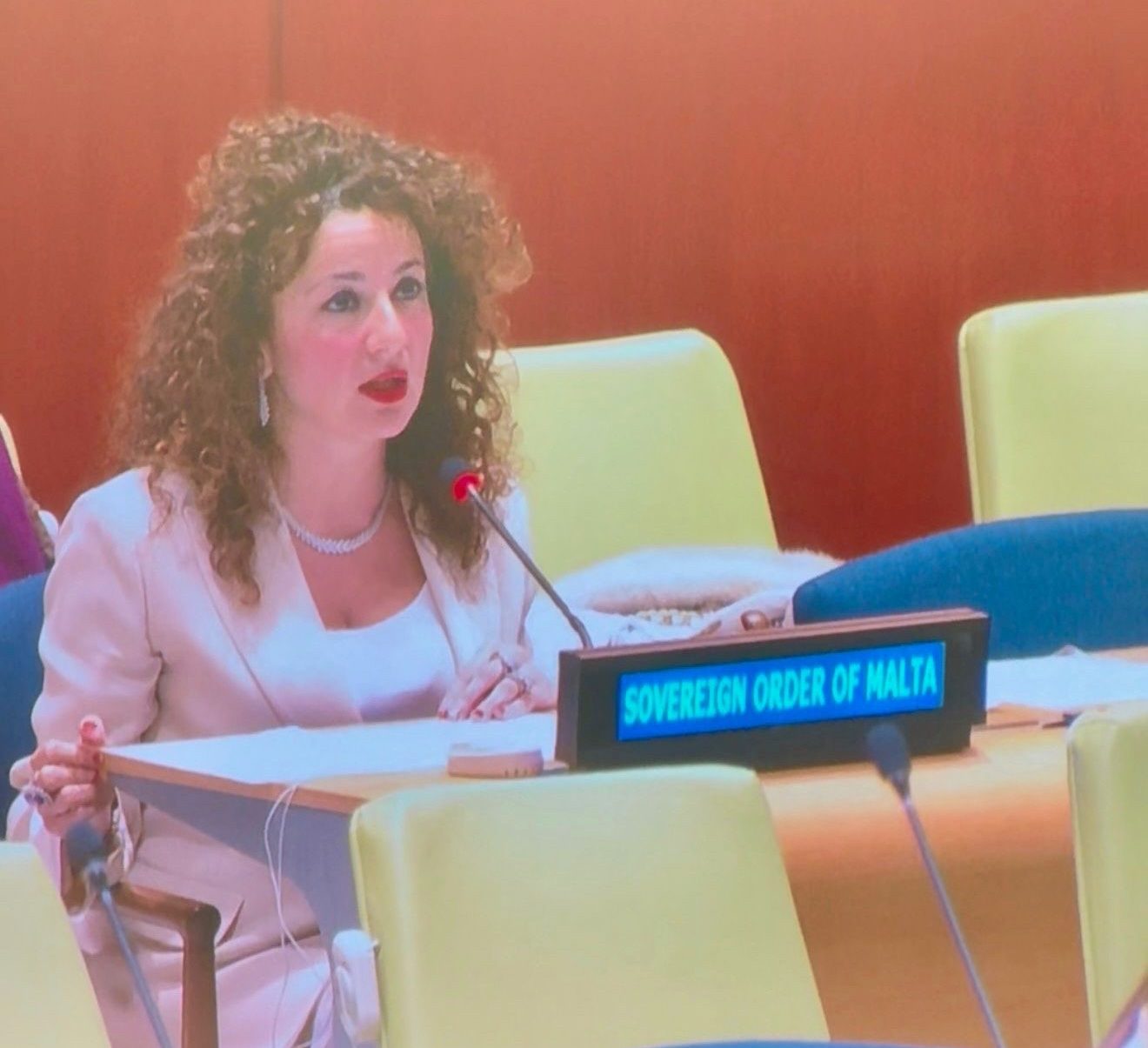 Professor Benedetta Audia, Advisor, Addresses the UN Sixth Committee on the Protection of Persons in the Event of Disasters