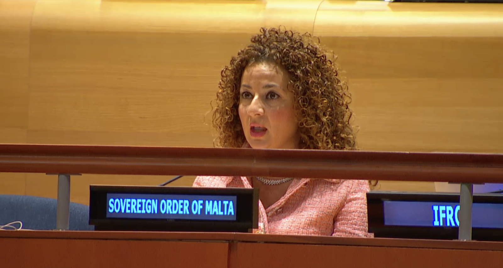 Professor Benedetta Audia Addresses the Sixth Committee on Prevention and Punishment of Crimes Against Humanity