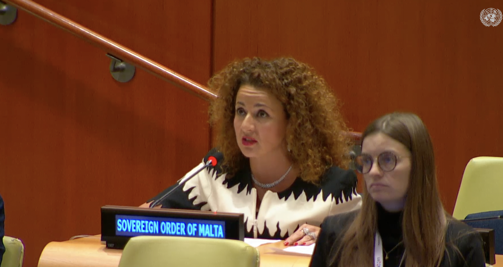 Professor Benedetta Audia Addresses the Sixth Committee on Status of the Protocols Additional to the Geneva Conventions of 1949 and relating to the protection of victims of armed conflicts.