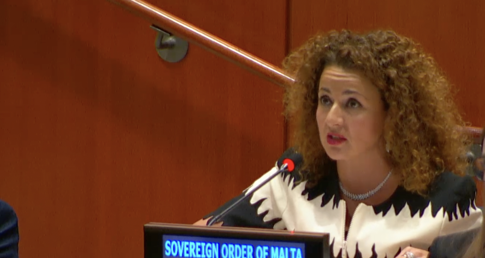 Professor Benedetta Audia Addresses the Sixth Committee on Status of the Protocols Additional to the Geneva Conventions of 1949 and relating to the protection of victims of armed conflicts.
