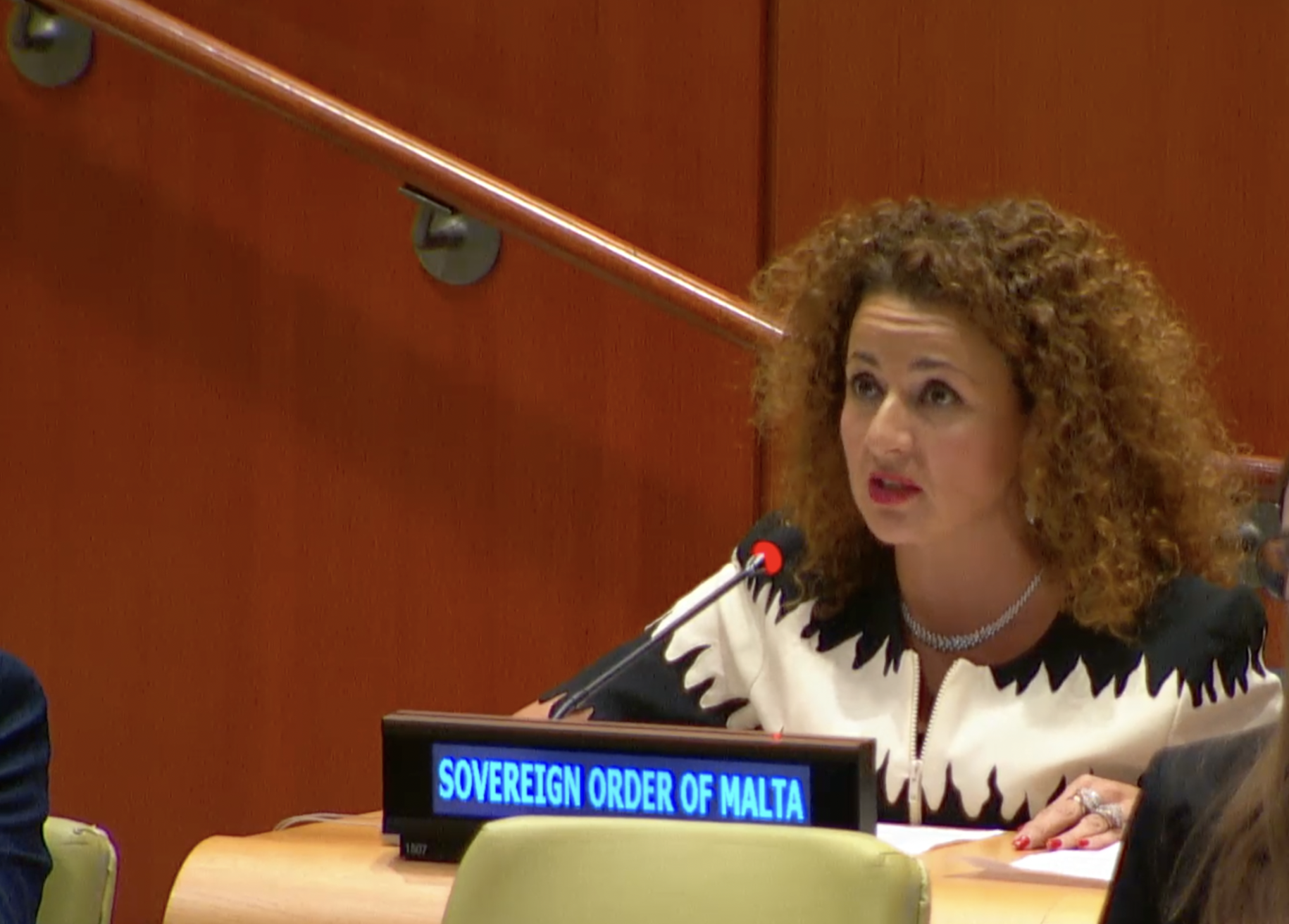 Professor Benedetta Audia Addresses the Sixth Committee on Status of the Protocols Additional to the Geneva Conventions of 1949 and relating to the protection of victims of armed conflicts.