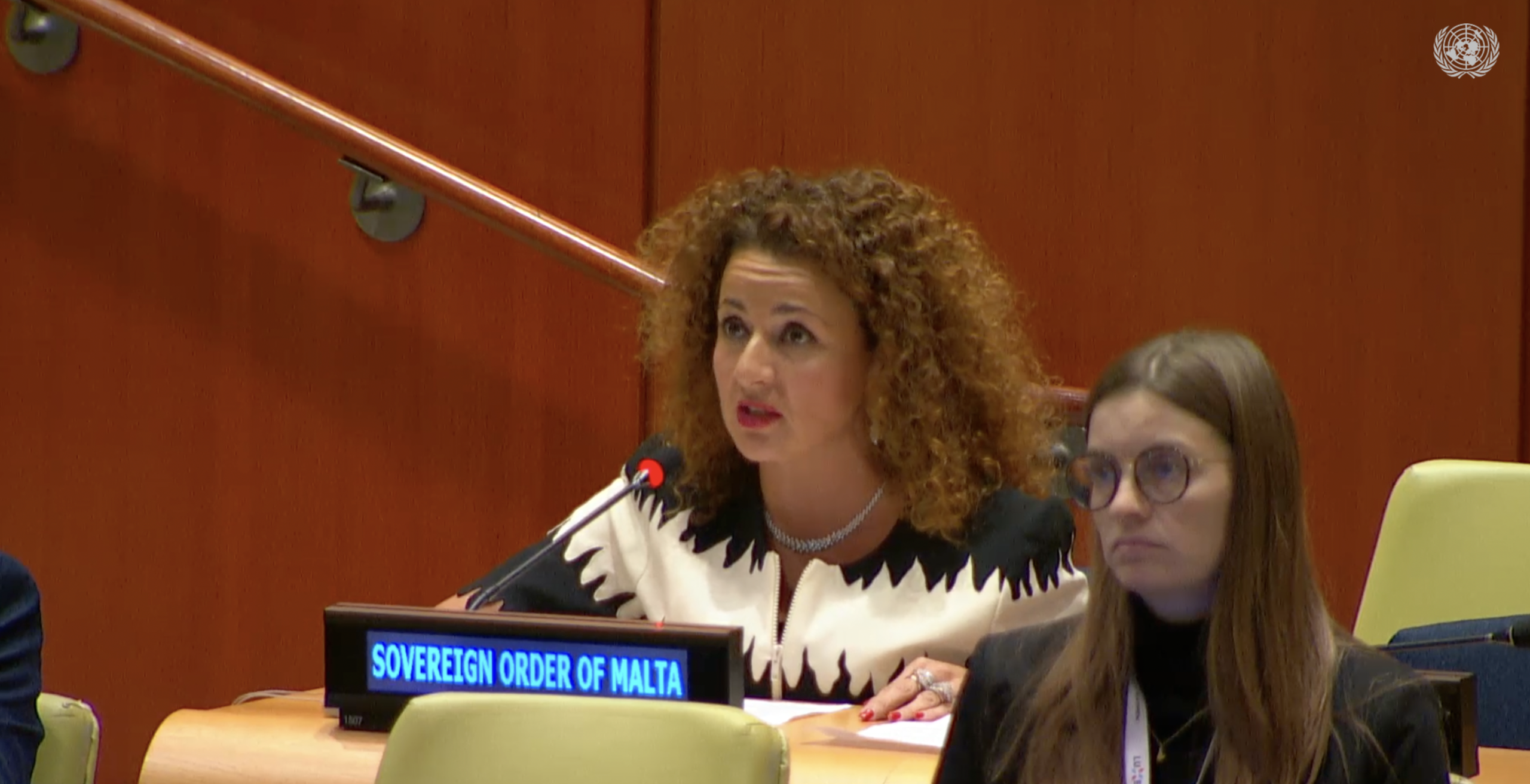 Professor Benedetta Audia Addresses the Sixth Committee on Status of the Protocols Additional to the Geneva Conventions of 1949 and relating to the protection of victims of armed conflicts.