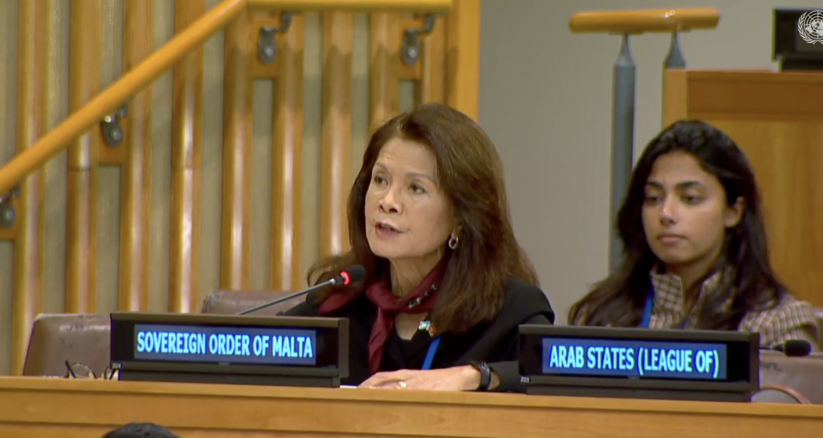 Marissa Blackett, Counsellor, Addresses the Third Committee on the Right to Food and Extreme Poverty, following a briefing by Ms. Sofia Monsalve Suarez