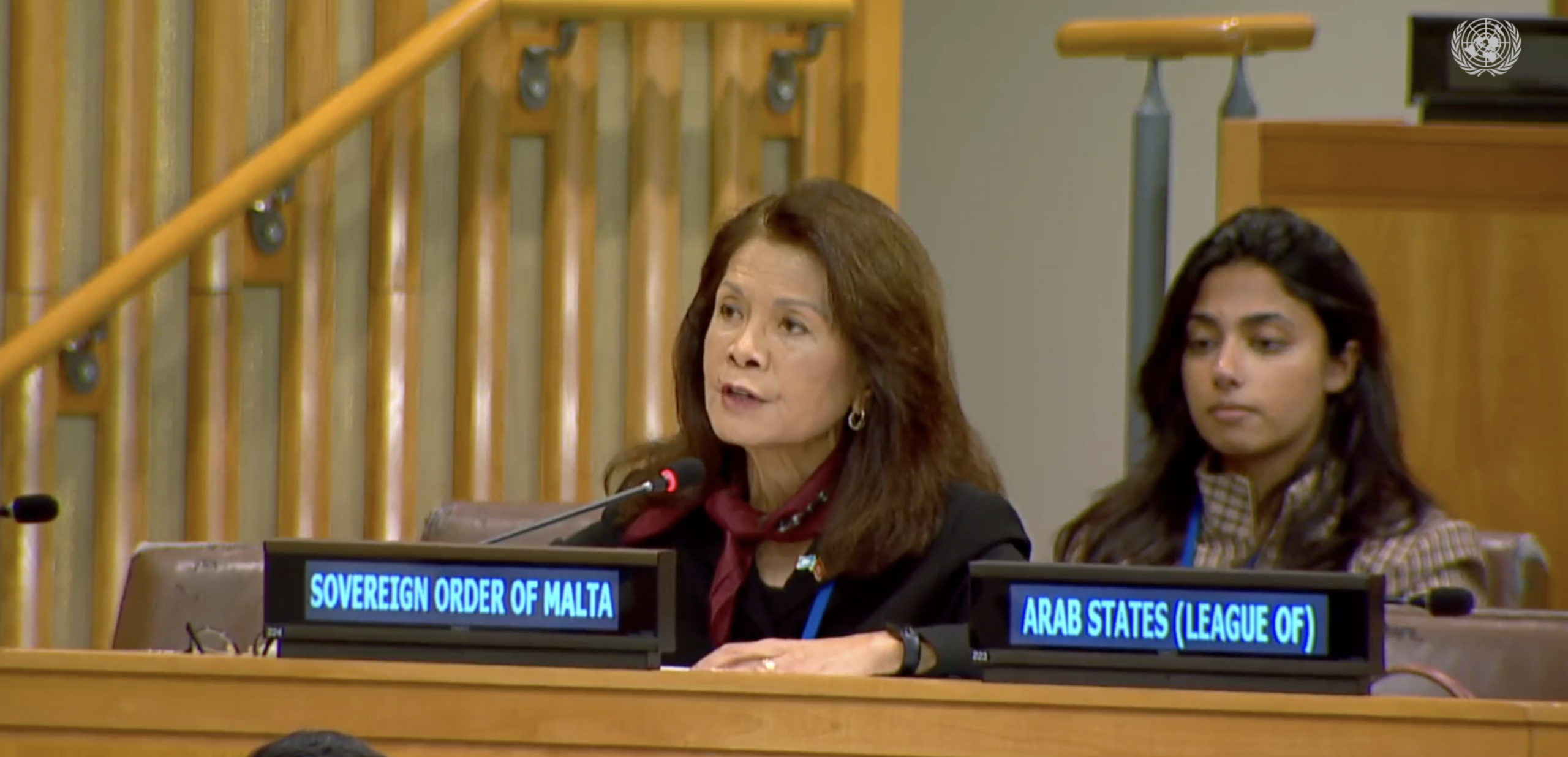 Marissa Blackett, Counsellor, Addresses the Third Committee on the Right to Food and Extreme Poverty, following a briefing by Ms. Sofia Monsalve Suarez