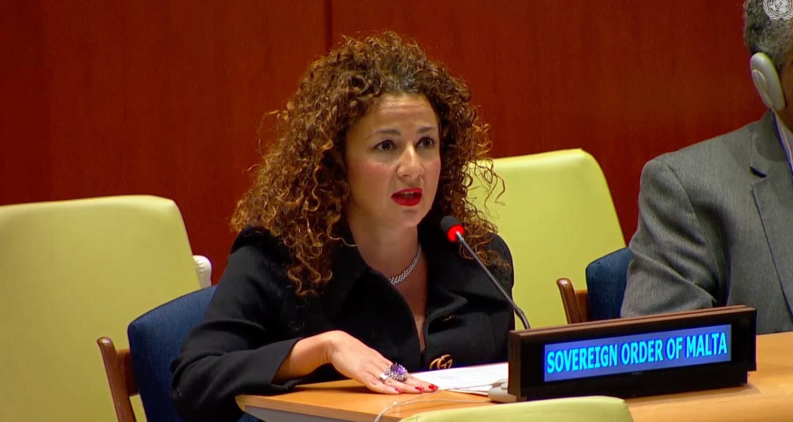 Advisor, Professor Benedetta Audia Addresses the Sixth Committee on The Rule of Law at the National and International Levels
