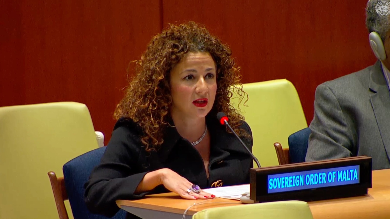 Advisor, Professor Benedetta Audia Addresses the Sixth Committee on The Rule of Law at the National and International Levels