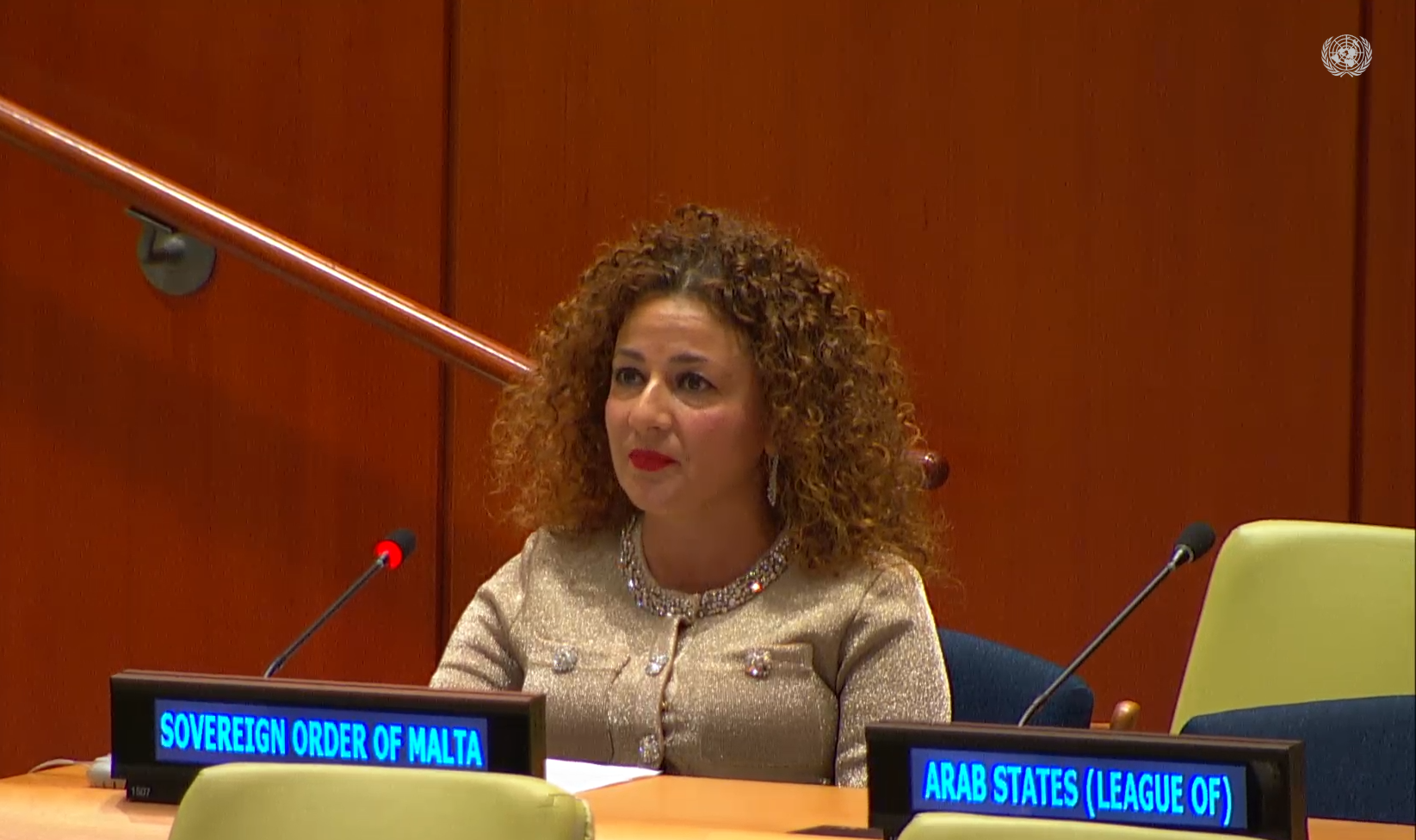 Professor Benedetta Audia Addresses the Sixth Committee on The Scope and Application of the Principle of Universal Jurisdiction